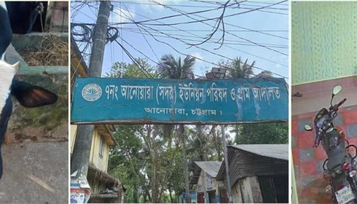 আনোয়ারায় কয়েকদিনে ৩টি চুরি: জনমনে আতঙ্ক